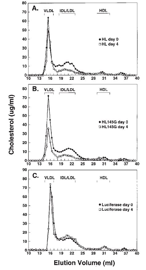 Fplc Analysis Of The Plasma Lipoproteins In Apoe Deficient Mice Before Download Scientific