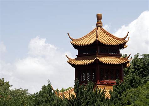 90+ Chinese Garden Sydney Stock Photos, Pictures & Royalty-Free Images ...