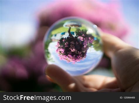 Juggling Free Stock Photos Stockfreeimages