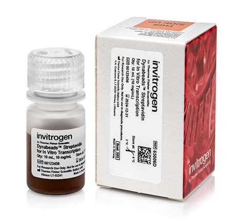 Invitrogen Dynabeads Streptavidin For In Vitro Transcription Ml