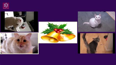 Cats Meowing Jingle Bells [christmas Songs] Acapella Youtube