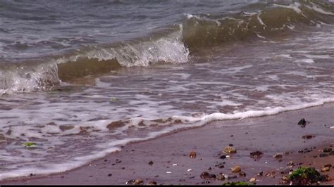 long island sound report card good grades  connecticut beaches