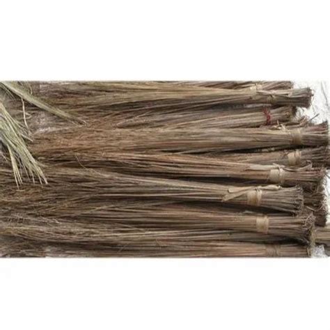 Floor Handmade Coconut Brooms 350 Gram At Rs 26 Piece In Ludhiana ID