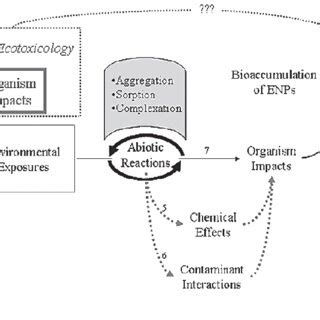 (PDF) Impacts of Nano Technology on Environment - A Review