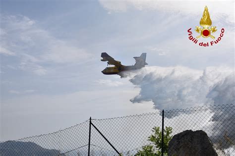 Devastato Monte Caputo l incendio è stato spento VIDEO Monrealelive it