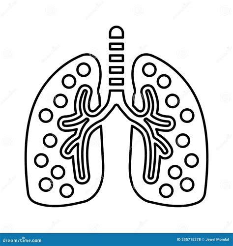 Anatomy Body Breath System Breathe Lung Line Icon Outline Vector