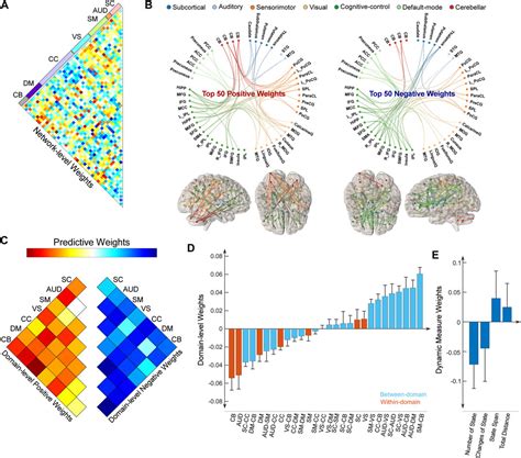 Frontiers Predictive Signature Of Static And Dynamic Functional