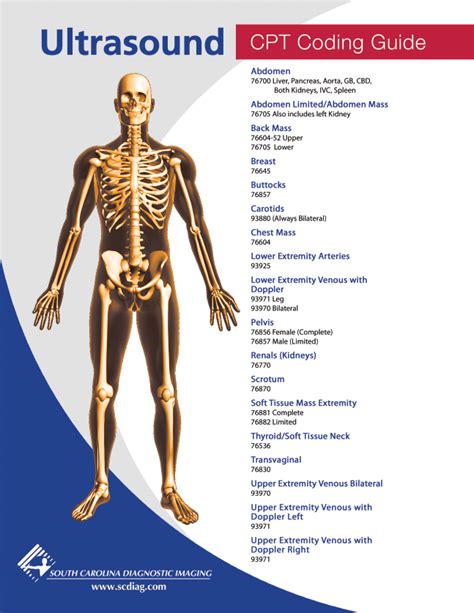 Ultrasound Cpt Coding Guide Hot Sex Picture