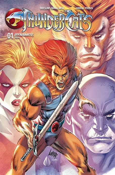 ThunderCats 1 Gets 170 000 Orders After Rob Liefeld Cover Drops