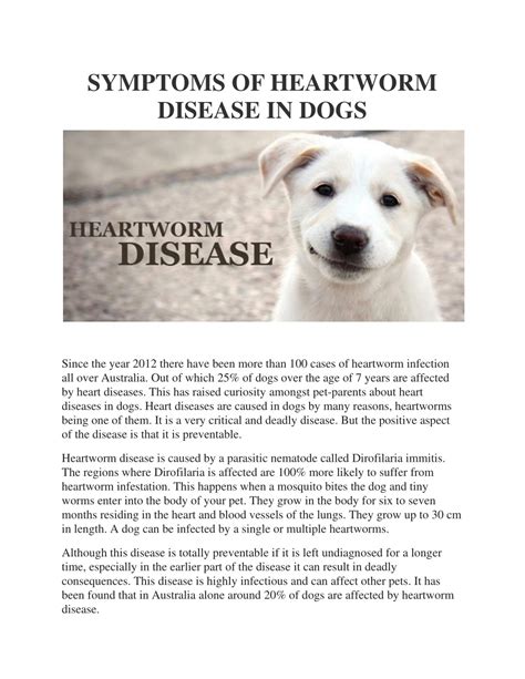 Ppt Symptoms Of Heartworm Disease In Dogs Powerpoint Presentation