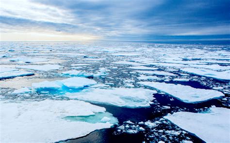 La fonte des glaces océaniques un inquiétant constat