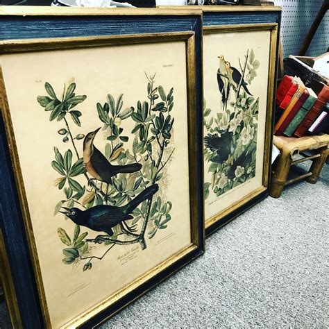 Elegant Bird Prints in Frames