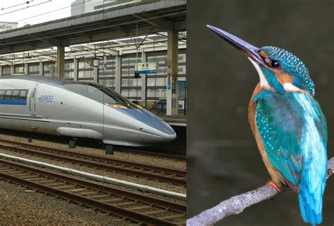 What happens when you combine a kingfisher and a bullet train ...