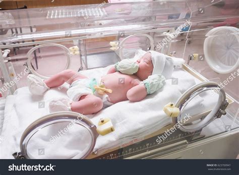 11 011 Baby Incubators Images Stock Photos Vectors Shutterstock