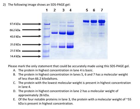 Kda Protein Sds Page Outlet Coupons Brunofuga Adv Br