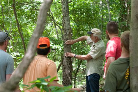 Silviculture And Forest Management Education Missouri Forest