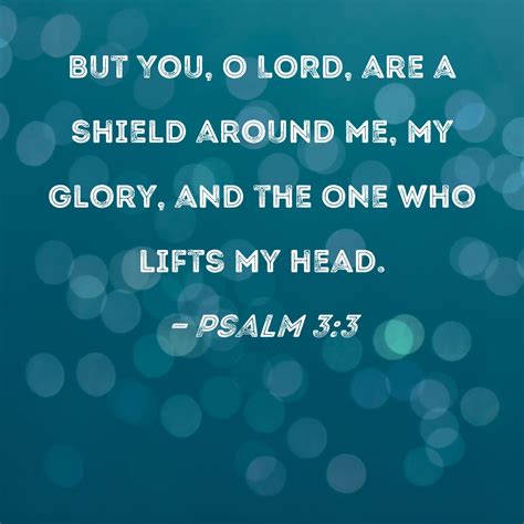 Psalm 33 But You O Lord Are A Shield Around Me My Glory And The