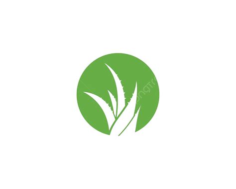 Aloe Vera Logo Vector Skin Nature Logo Vector Skin Nature Logo Png