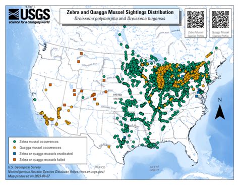 Invasive mussels - coloradoriverscience.org