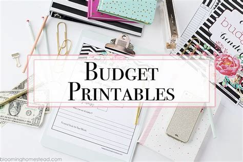 Printable Budget Binders Page 2 Of 2 Budgeting Diy For Kids