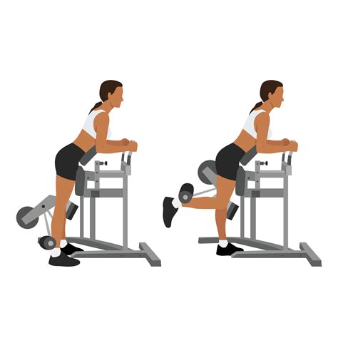 Woman Doing Standing Leg Hamstring Curls Machine 27199797 Vector Art