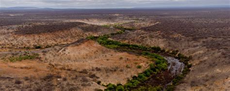 Rio Salitre na Bahia seca e ameaça comunidades rurais 19 03 2023