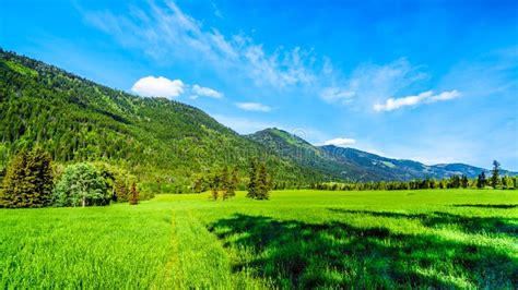 Mountains Along The Heffley Louis Creek Road In BC Canada Stock Image