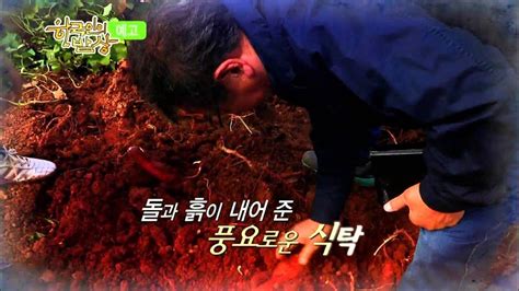 141113 한국인의밥상 예고 ㅣ Kbs방송 Youtube