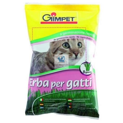 Hierba Para Gato Bolsa 100 G Malta Para Gatos