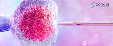 Fertiliza O In Vitro Cl Nica Conceb Dr Rodrigo Scardelato