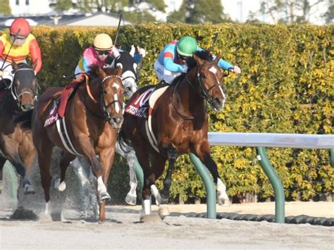 【jra・win5】本日のwin5は的中104票、配当484万8540円 競馬ニュース Netkeiba