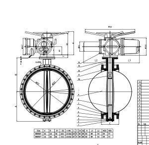 Double Flange Electric Actuated Butterfly Valve Manufacturer