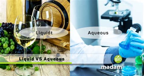 Difference between Liquid and Aqueous - biomadam