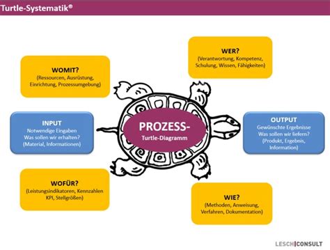 Turtle Diagramm Lesch Consult