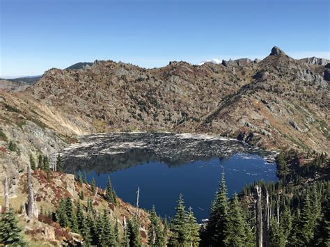 Coldwater Peak A Stark But Beautiful Hike Into The St Helens Blast