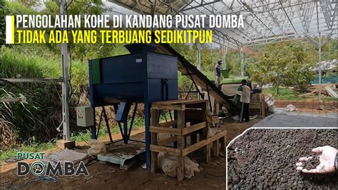 Apakah Kohe Di Kandang Pusat Domba Dibuang Ke Sungai Ternyata Sepeti