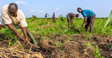 Bénin cession des unités de transformation de produits agricoles