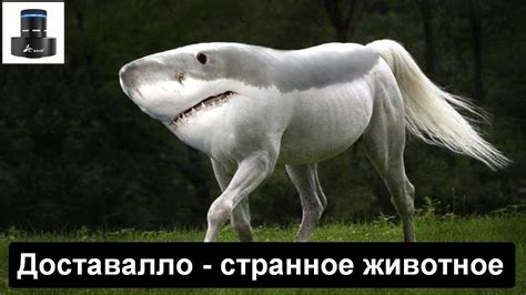 ДОСТАВАЛЛО для виброколонки - YouTube