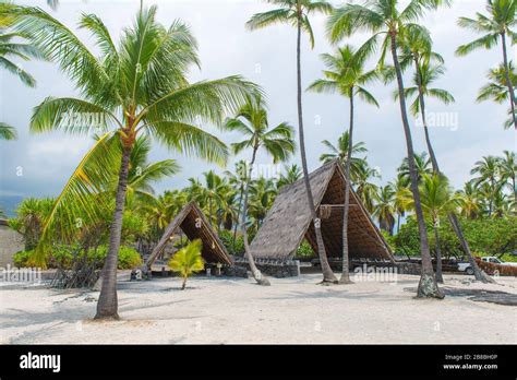 Hawaiian Village Traditional Hi Res Stock Photography And Images Alamy