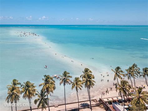 O Que Fazer Em Maragogi Alagoas Melhores Praias Maragogi Praias De