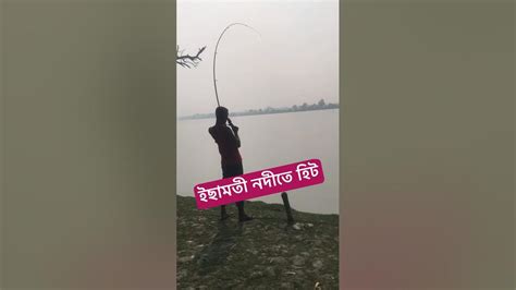 ইছামতী নদীতে দানব মাছ হিট।। River Monoster Hit।। Fishing Fish