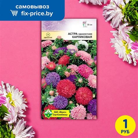 Семена цветов, МинскСортСемОвощ, помогут создать дома или на участке ...
