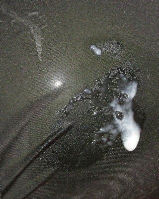 Cum On Pantys And Pantyhose Porn Pictures XXX Photos Sex Images PICTOA