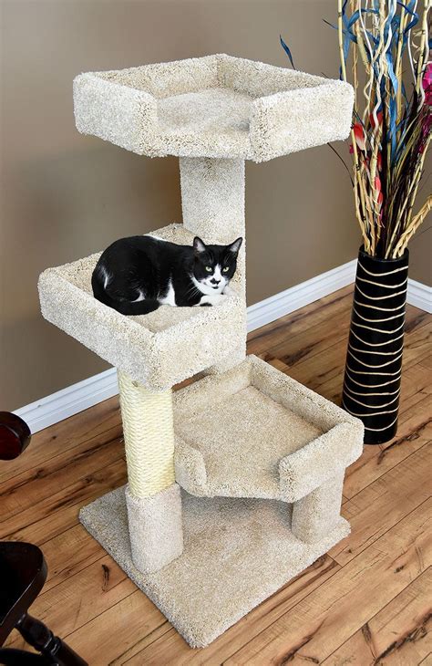 Best Cat Tower For Cats At Sara Jones Blog