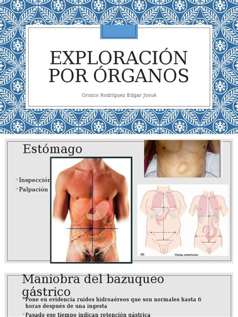 Pdf Exploraci N Por Rganos Dokumen Tips