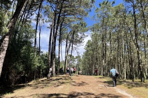 Centro Pinus Assinala Dia Mundial Do Ambiente Iniciativa Aberta