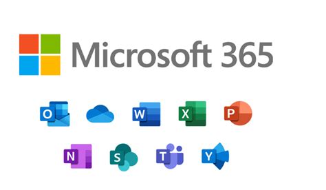 Microsoft 365 Design - Metataxis