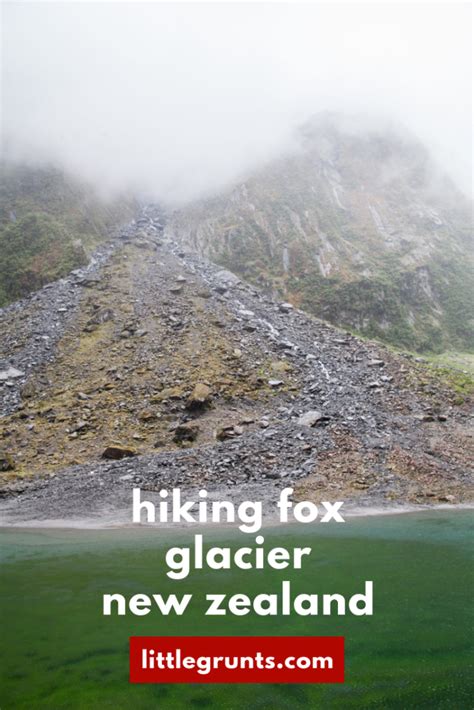 Hiking Fox Glacier, New Zealand - littlegrunts.com