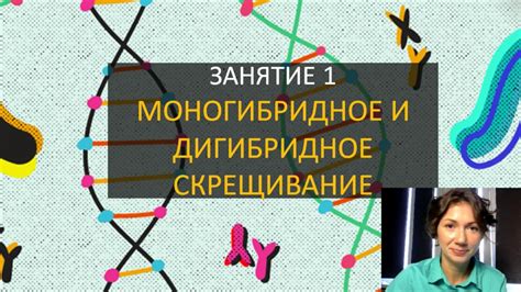 Занятие 1 | Моногибридное и дигибридное скрещивание - YouTube
