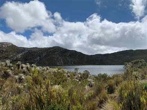 El Turismo Sostenible Una Apuesta Para La Paz Presente En La Vitrina